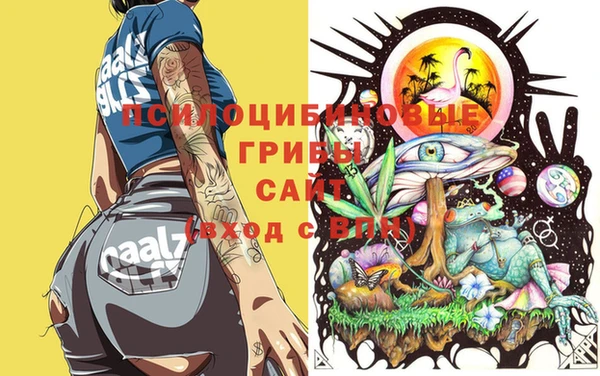 PSILOCYBIN Арсеньев