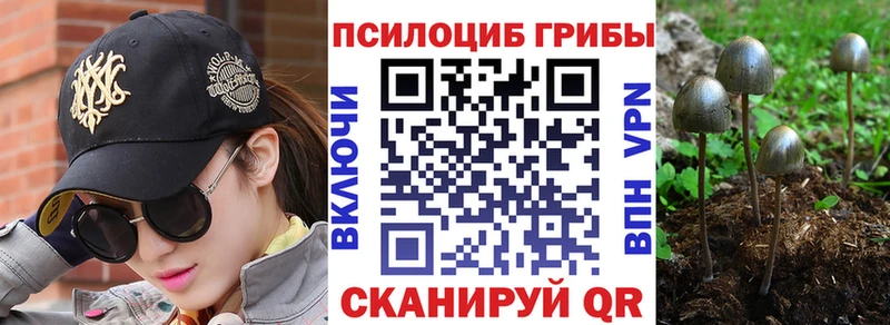 Галлюциногенные грибы Cubensis  мориарти состав  Верхняя Салда 